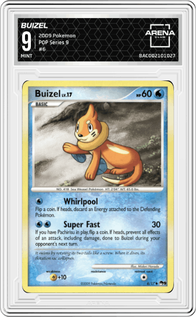 Buizel