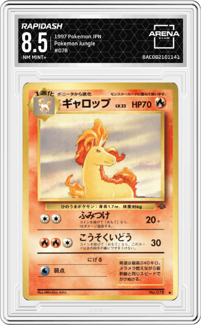 Rapidash