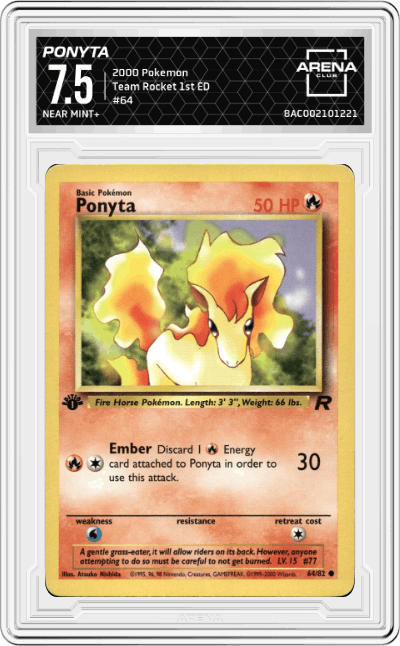 Ponyta