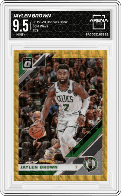Jaylen Brown