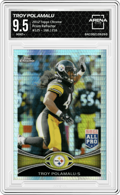 Troy Polamalu