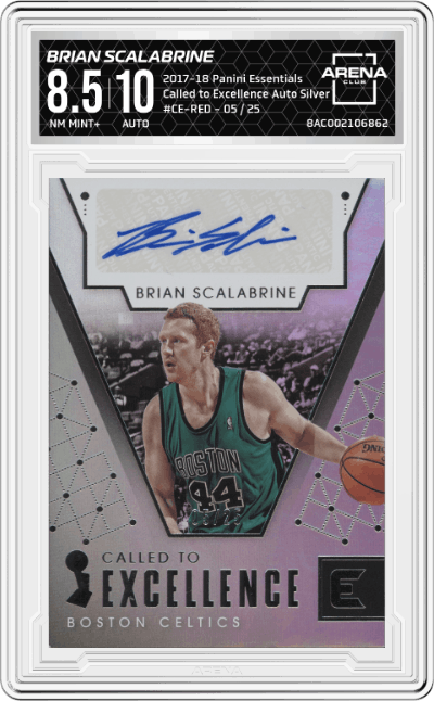 Brian Scalabrine
