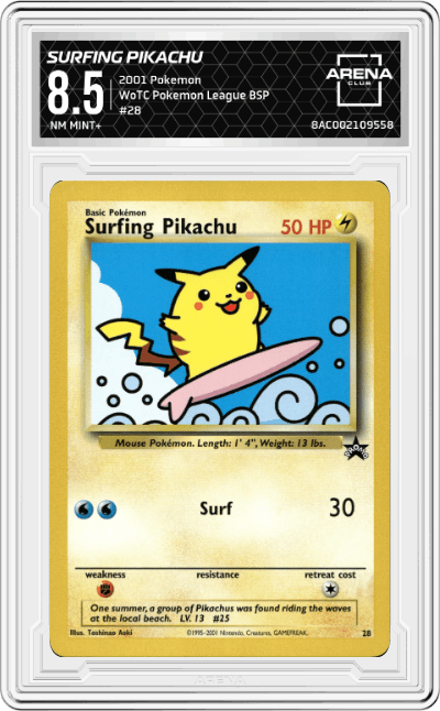 Surfing Pikachu