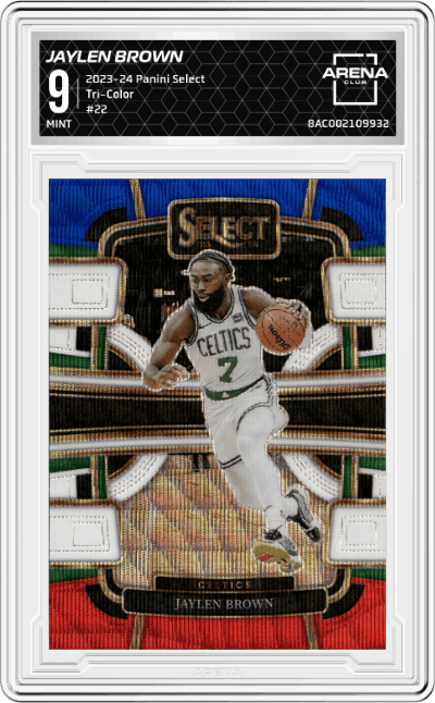 Jaylen Brown