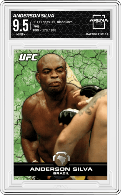 Anderson Silva