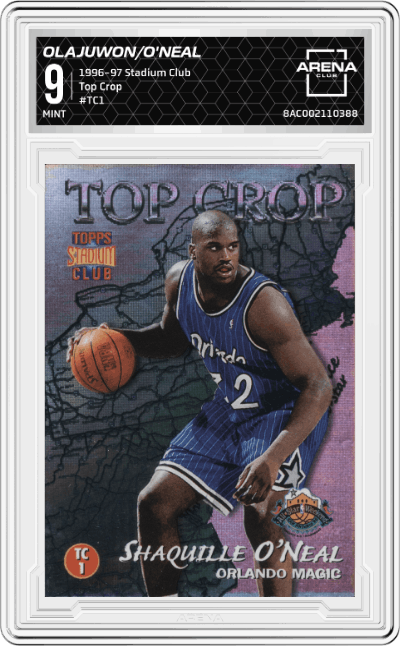 Hakeem Olajuwon/Shaquille O'Neal 