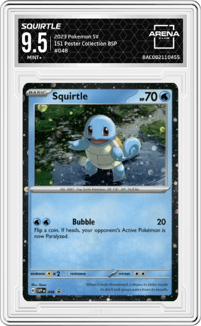 Squirtle