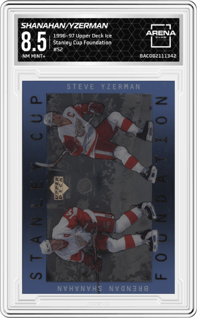 Brendan Shanahan/Steve Yzerman