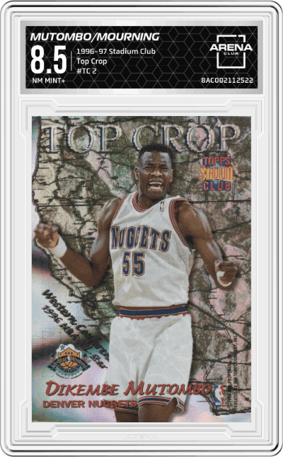 Dikembe Mutombo/Alonzo Mourning