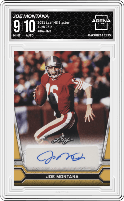 Joe Montana