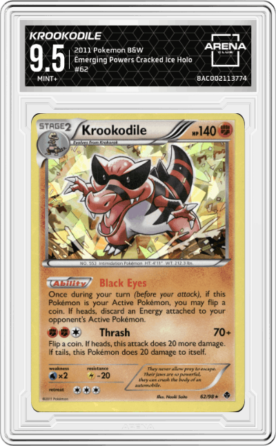 Krookodile