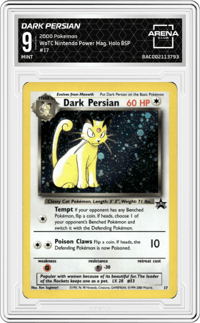 Dark Persian