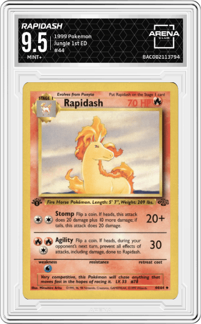 Rapidash