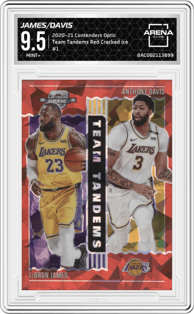 LeBron James/Anthony Davis