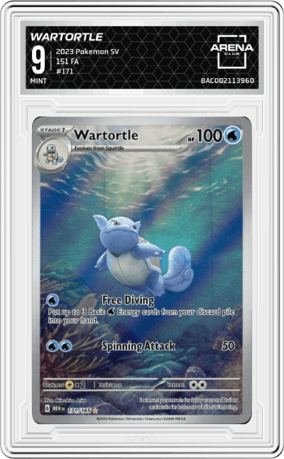 Wartortle
