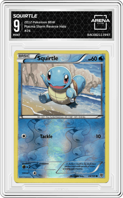 Squirtle