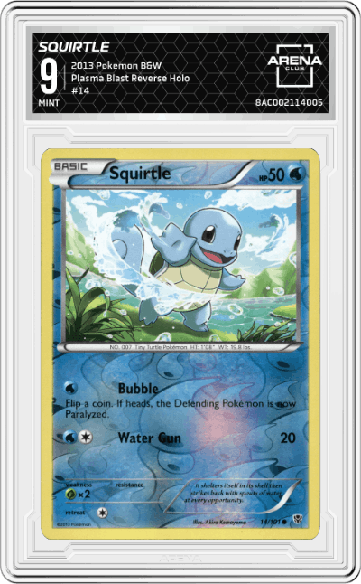 Squirtle
