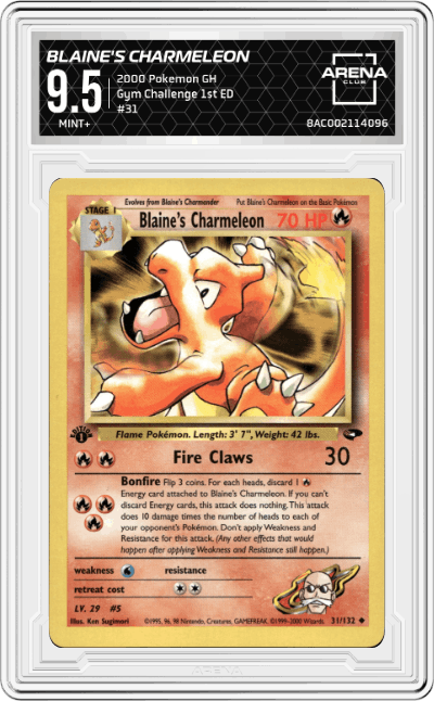 Blaine's Charmeleon