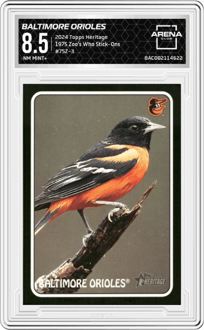 Baltimore Orioles