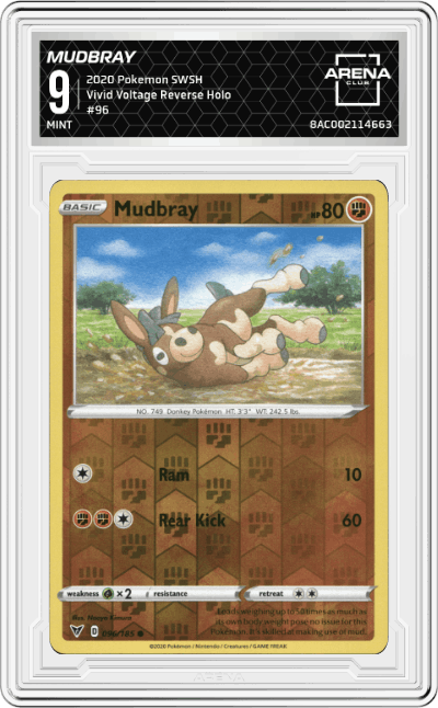 Mudbray