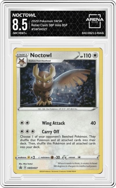 Noctowl