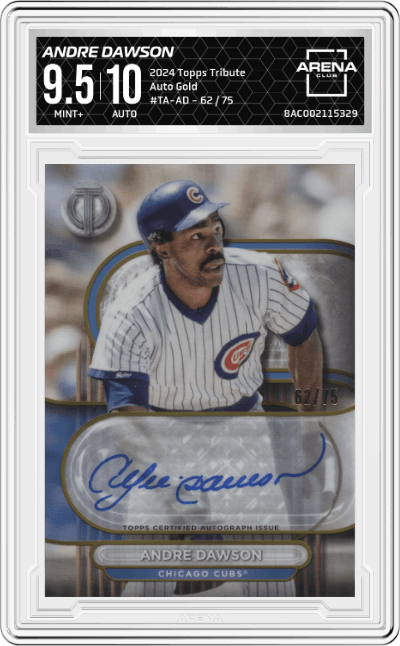 Andre Dawson