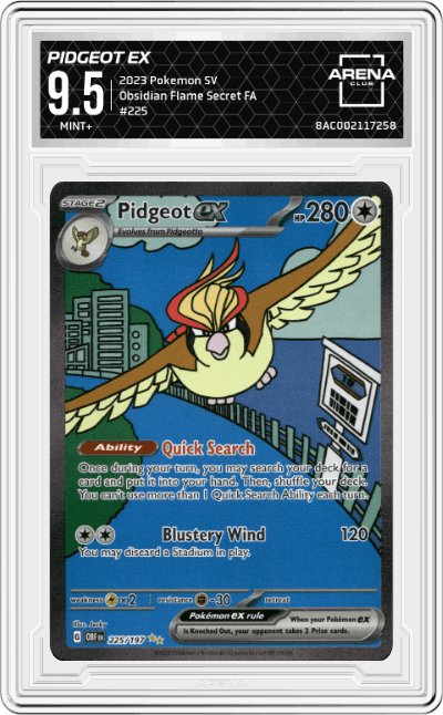 Pidgeot EX