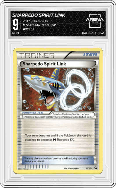 Sharpedo Spirit Link