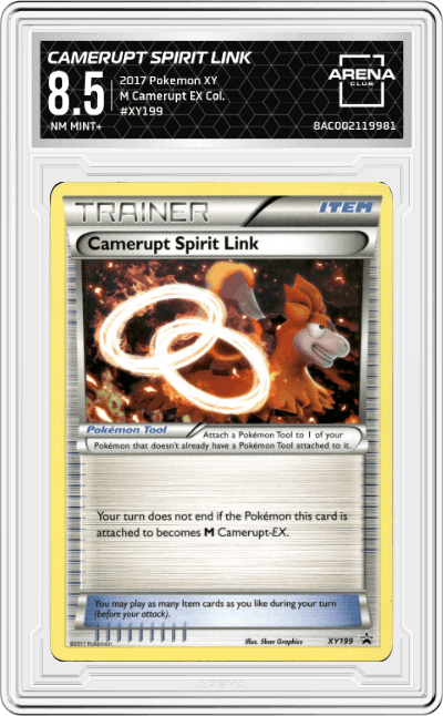 Camerupt Spirit Link