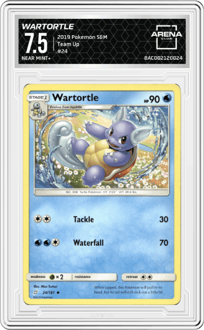 Wartortle