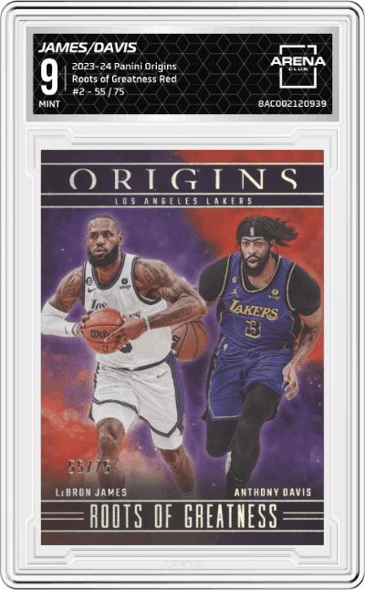 LeBron James/Anthony Davis