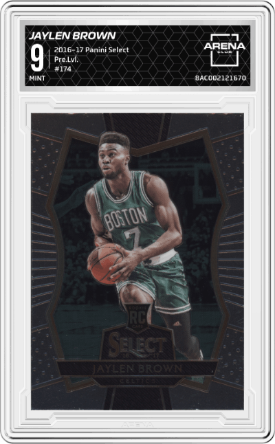 Jaylen Brown