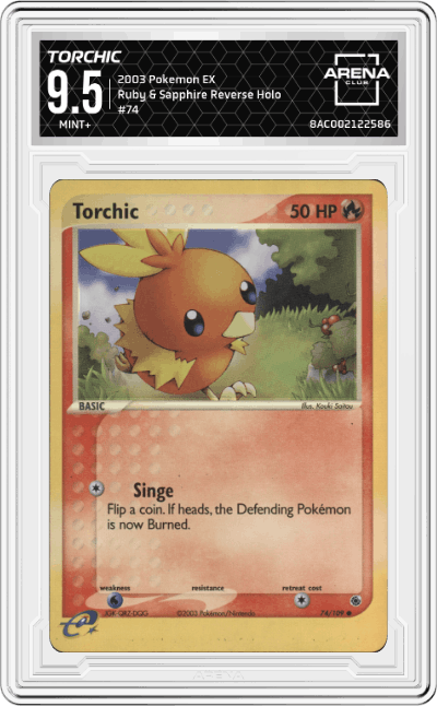 Torchic