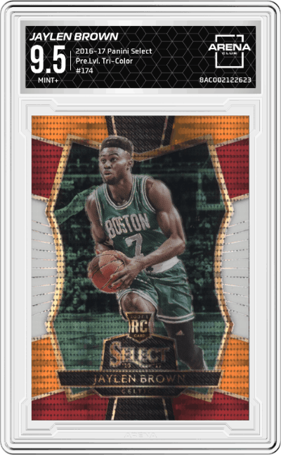Jaylen Brown