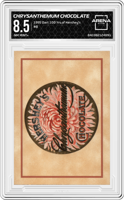 Chrysanthemum Chocolate, ca 1896-1909