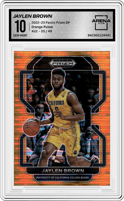 Jaylen Brown