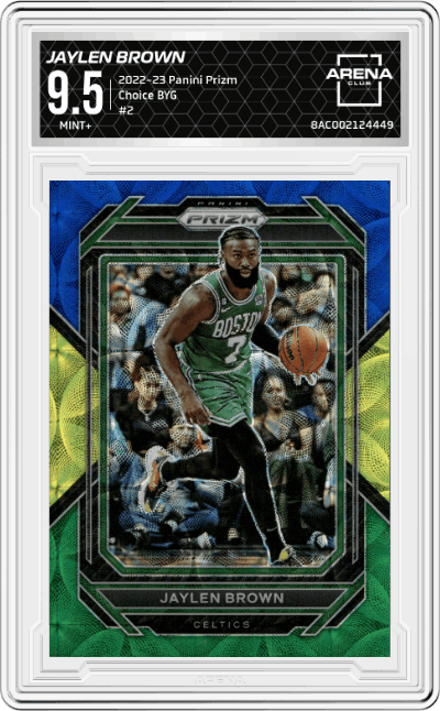 Jaylen Brown