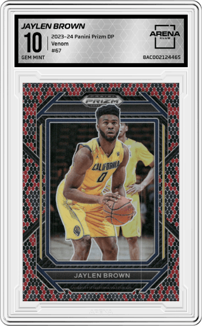 Jaylen Brown