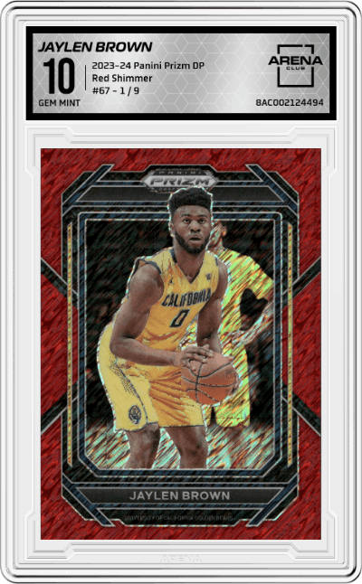 Jaylen Brown