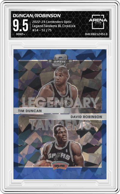 David Robinson/Tim Duncan