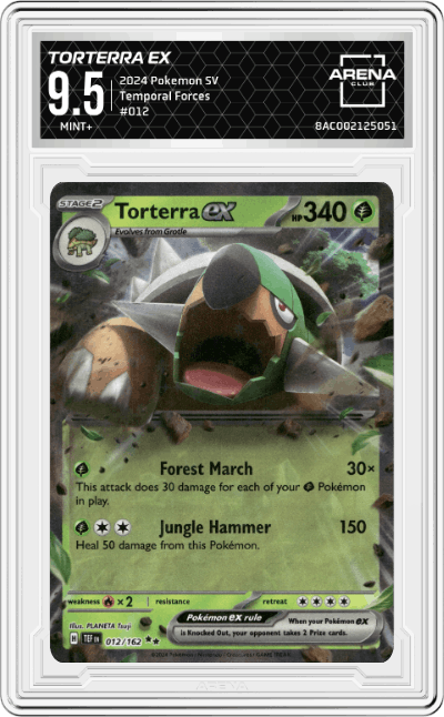 Torterra ex