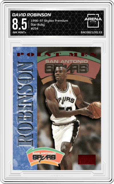 David Robinson 