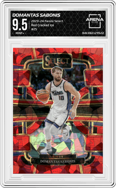 Domantas Sabonis