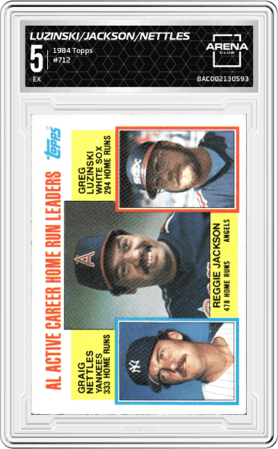 Greg Luzinski/Reggie Jackson/Graig Nettles