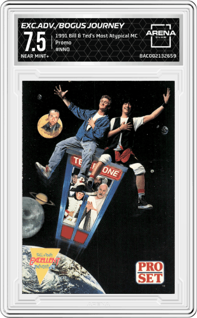 Excellent Adventure / Bogus Journey