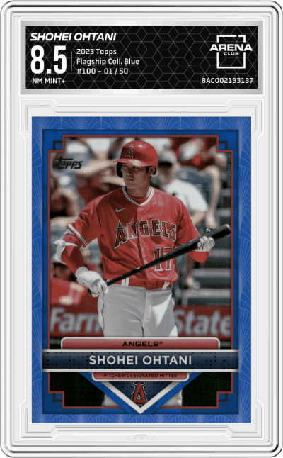 Shohei Ohtani
