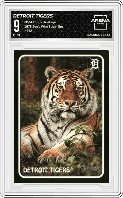 Detroit Tigers
