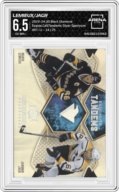 Mario Lemieux/Jaromir Jagr