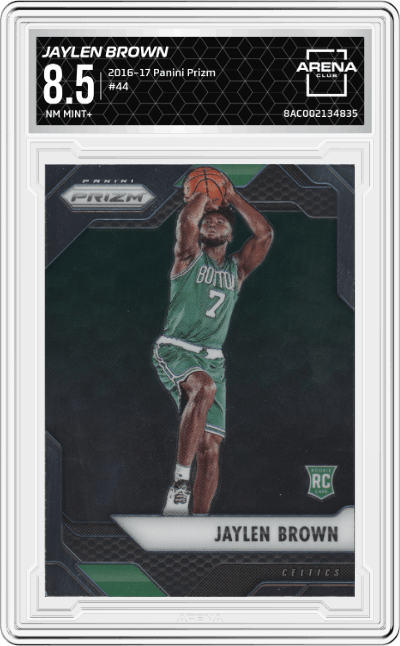 Jaylen Brown
