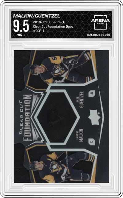 Evgeni Malkin/Jake Guentzel